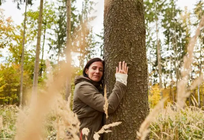 bain de for&ecirc;t