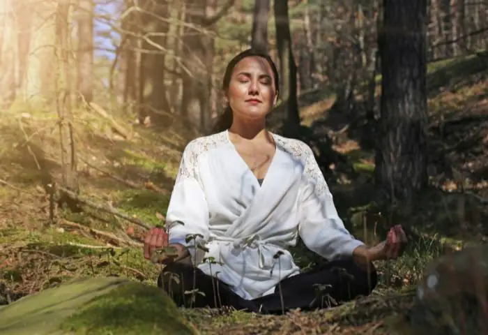 m&eacute;ditation en for&ecirc;t