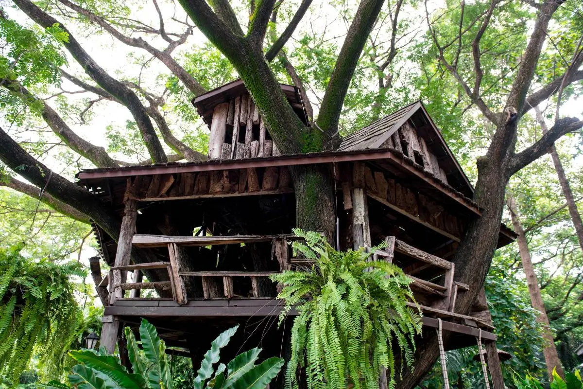 Une cabane dans les arbres