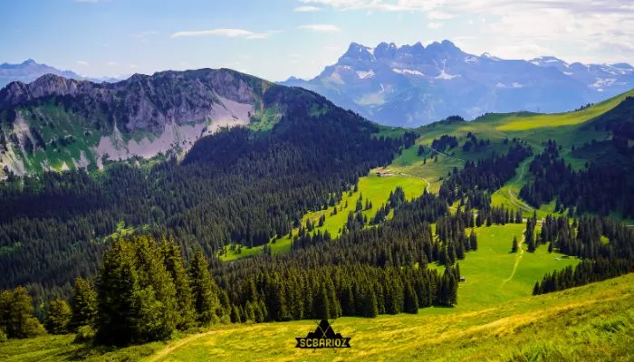 Ch&acirc;tel en &eacute;t&eacute;