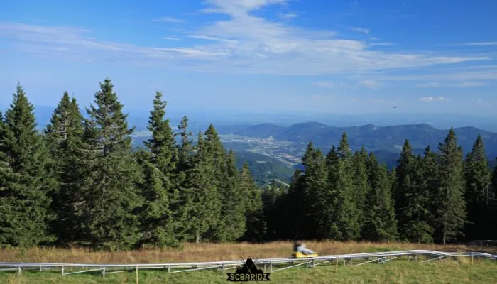 Luge sur rail