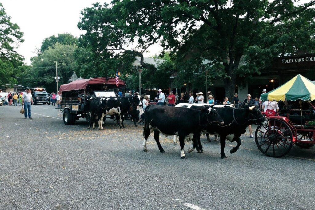 Une scène de rue animée avec des charrettes tractées par des chevaux et des personnes en arrière-plan.