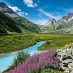 Les plus beaux endroits des Pyrénées : un voyage d'évasion en pleine nature beaux paysage des Pyrénées