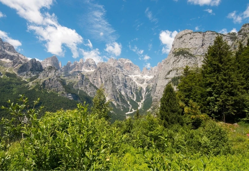 Paysage des Alpes