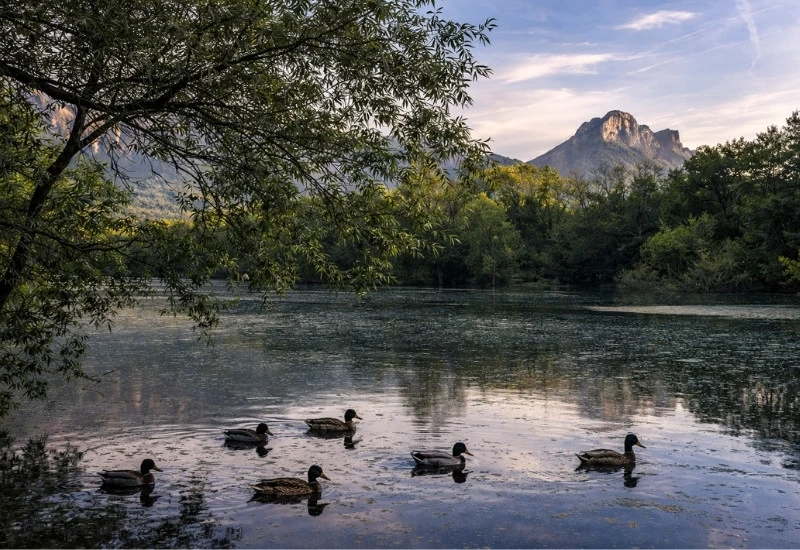 paysage lac de la Mirande
