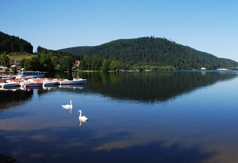 Lac de Gérardmer