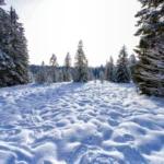 Découvrir les stations familiales de ski dans le Jura : une aventure mémorable Pas dans la neige dans le Jura