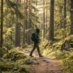Marche en nature sur un sentier forestier, favorisant la santé articulaire et mentale